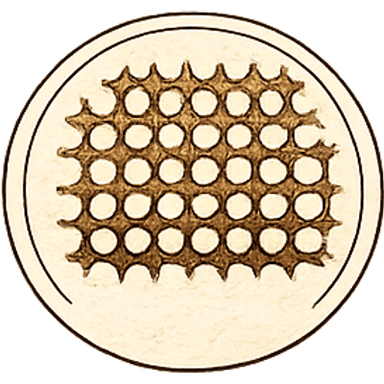 Restauro rejilla, alga marina, enea y trenzados